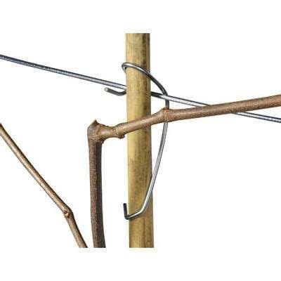 metal training stake clips.